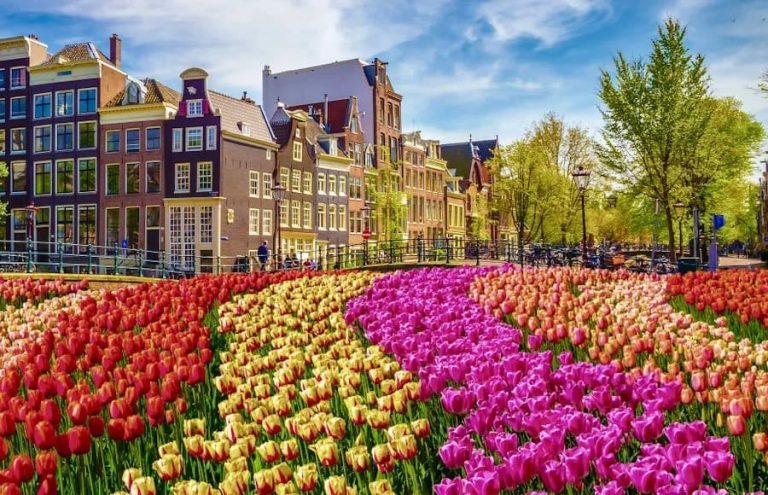 in-out-where-to-go-in-spring
